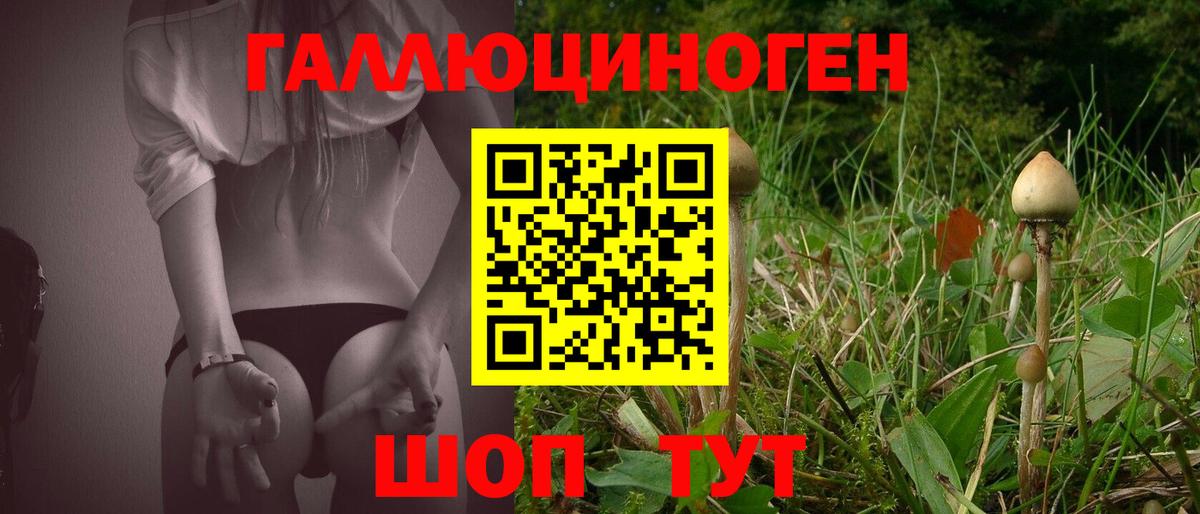 Галлюциногенные грибы мицелий  Вход с VPN  Мичуринск 